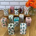 قوطى فلزى كاكتوس