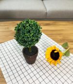 گلدان تزیینی - Image 9