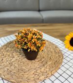 گلدان ایکیا