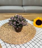 گلدان ایکیا