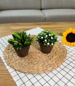 گلدان تزیینی - Image 7