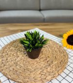 گلدان ایکیا