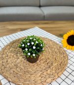 گلدان ایکیا